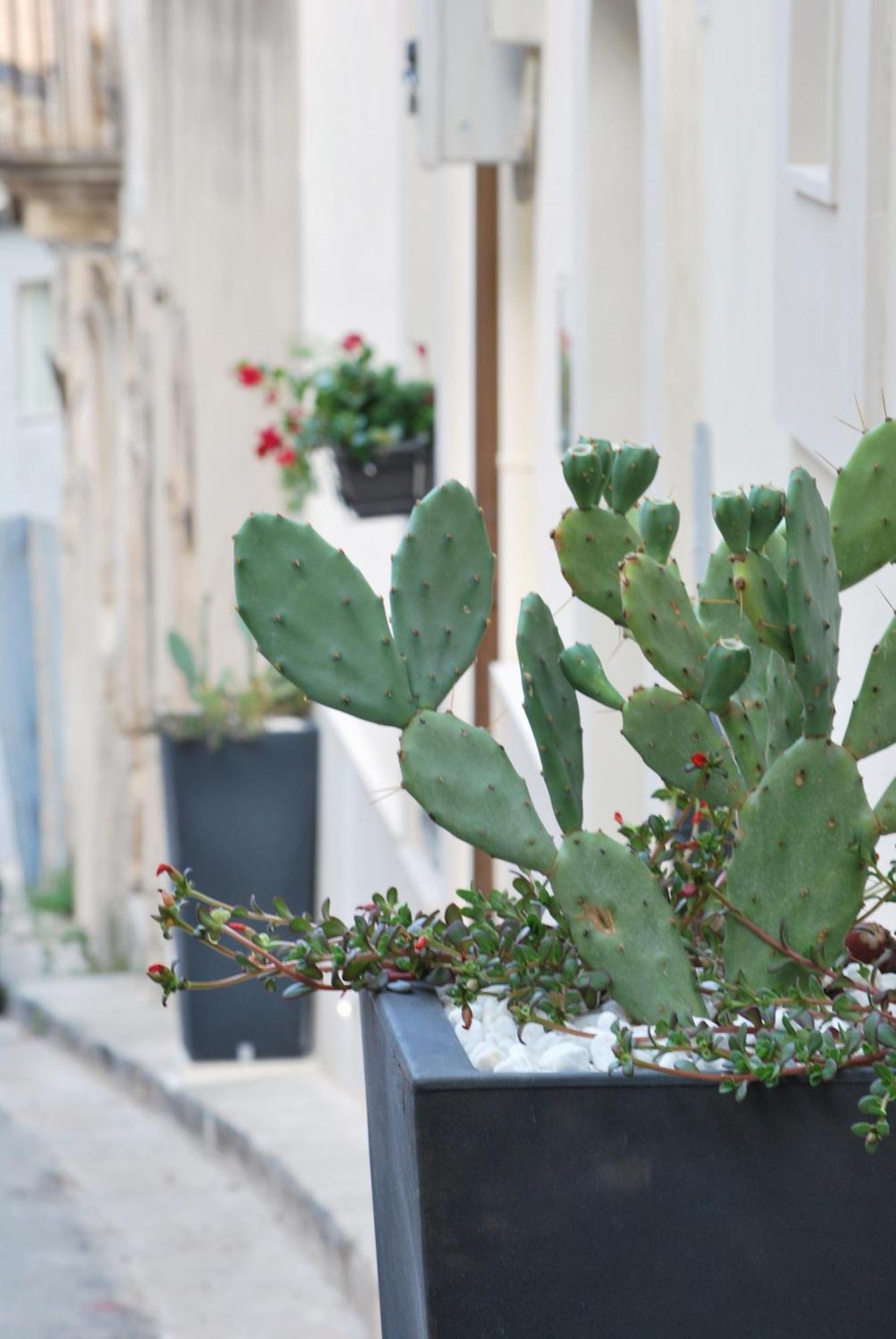 A Casa Di Grazia Bed and Breakfast Ragusa Eksteriør billede